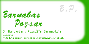 barnabas pozsar business card